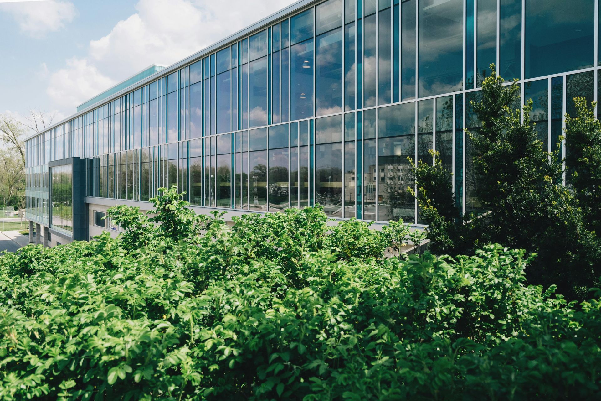A large building with a lot of windows and bushes in front of it.