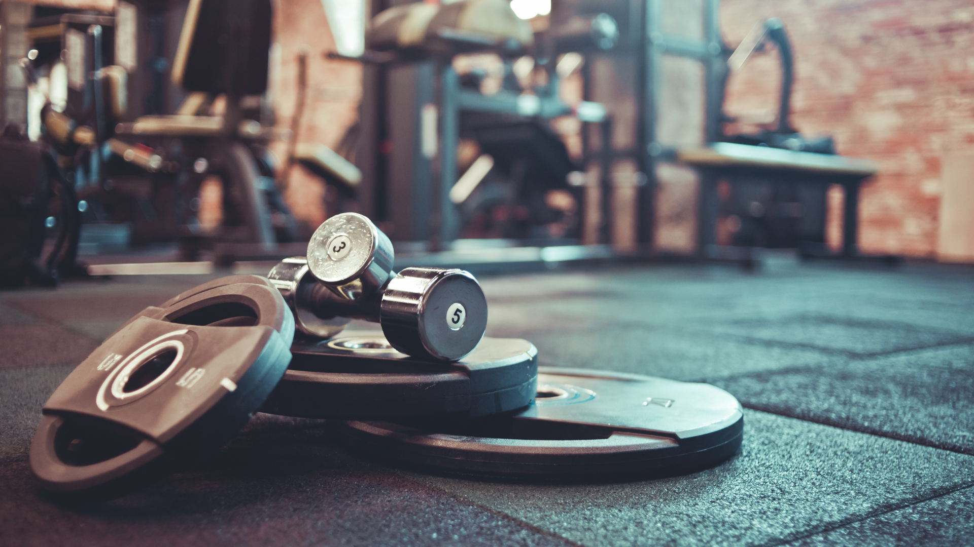 Gym with treadmills, elliptical machines, and weights, featuring large windows and hardwood floors.