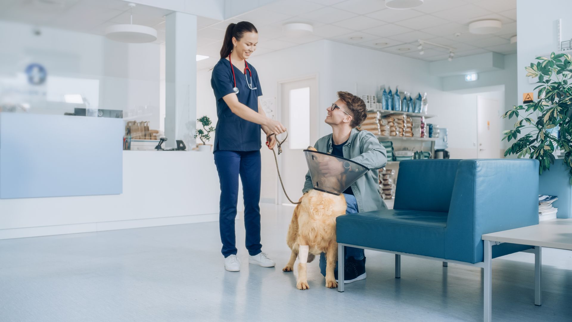 Hygienic Veterinary Surgery