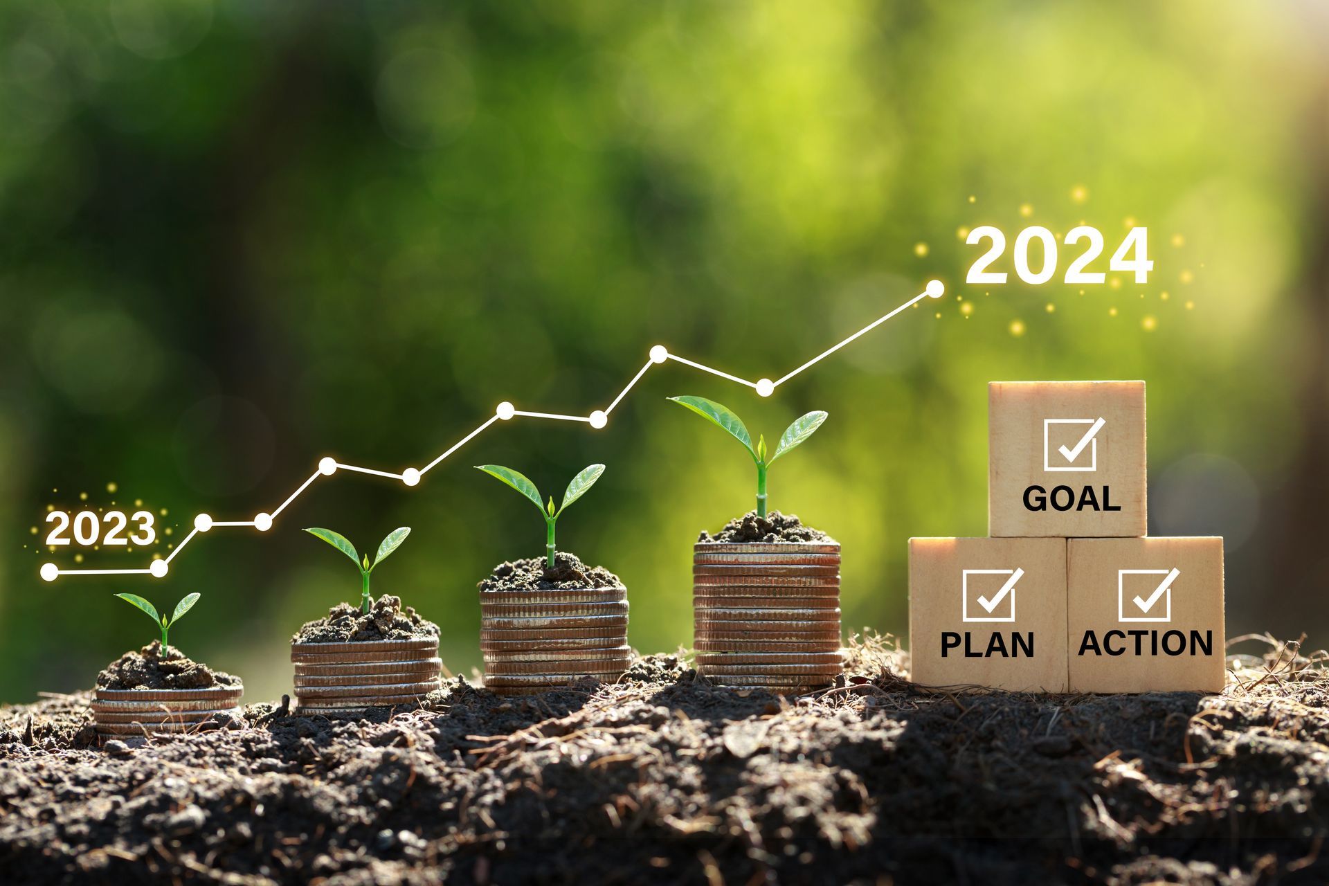 Strategic Financial Resolutions for a Prosperous 2024
