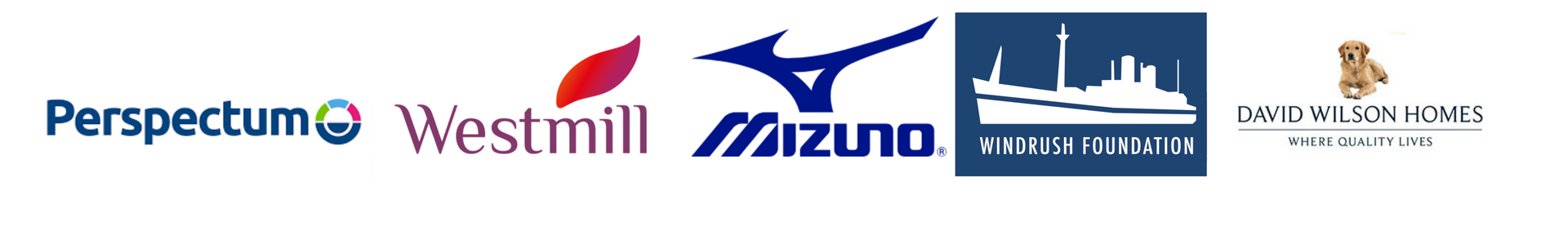 Diverse Business and Community Client Logos