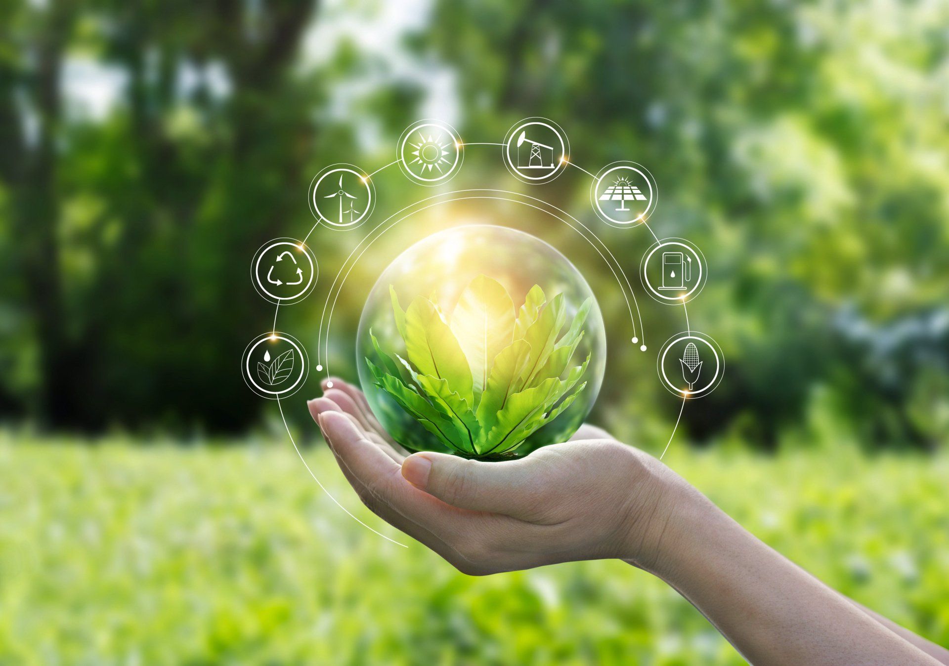 More Sustainable Cleaning Regime