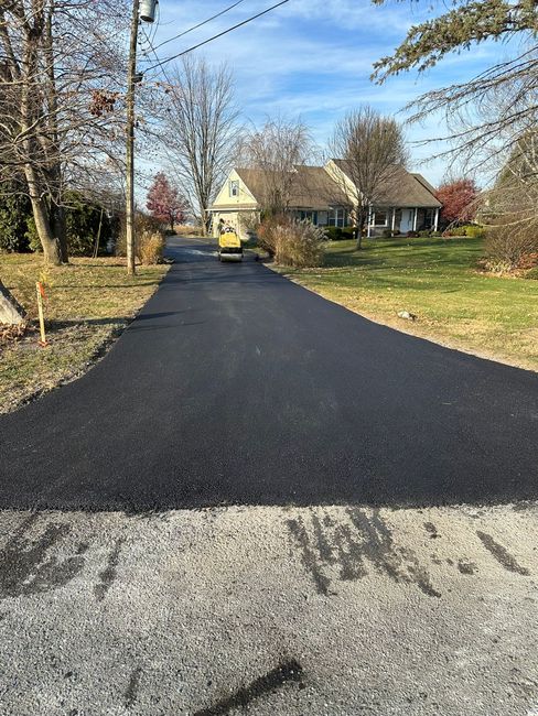 Fresh black asphalt driveway lined with bare trees, leading to a house on a sunny day.