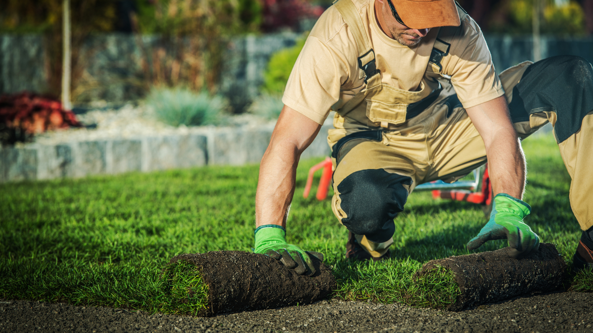 Lawn Installation services