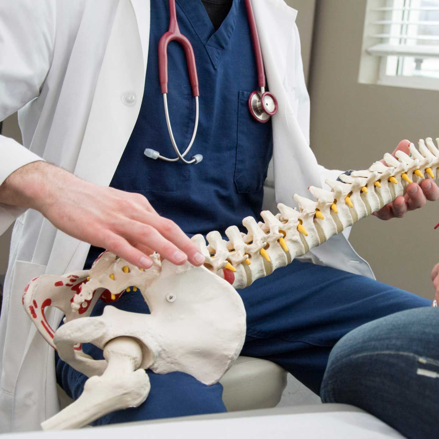 A medical professional in a white coat and blue scrubs holds a model of a human spine and pelvis for a patient.