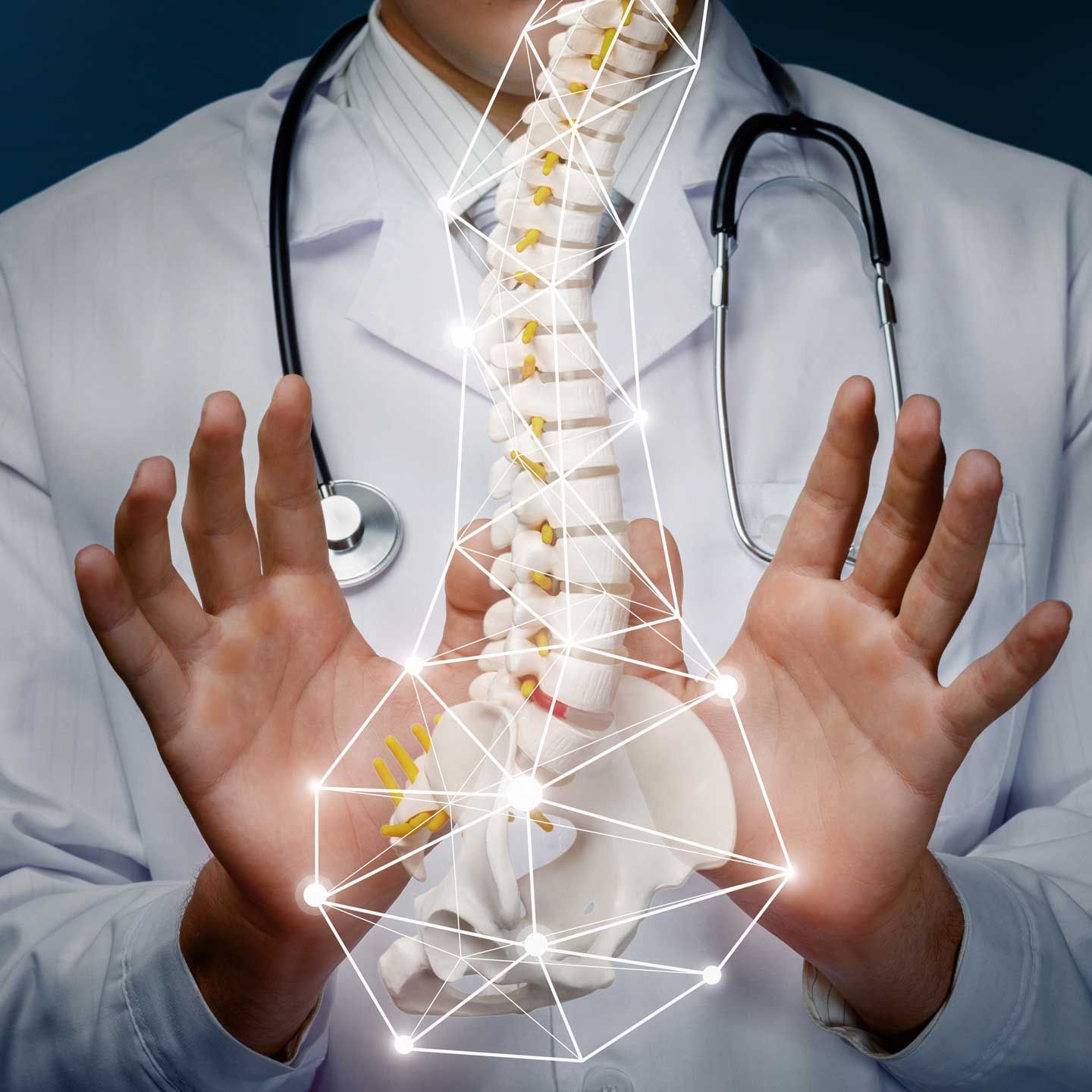 Doctor holding spine model, with connected glowing nodes, wearing a stethoscope. A healthcare professional in a white coat holds a model of a human spine and pelvis surrounded by a digital wireframe mesh.