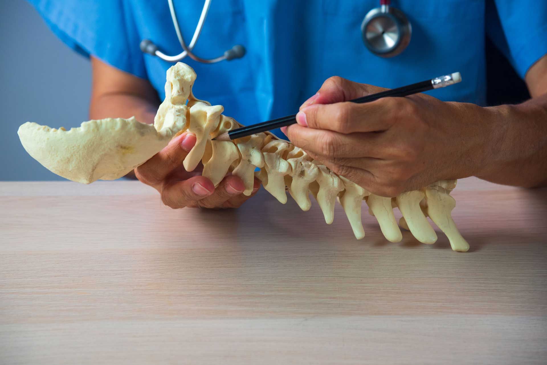 Doctor pointing to a model of a spine, wearing scrubs and stethoscope, on a table. A person in a blue medical scrub top uses a pencil to point at a model of a human spine on a table.