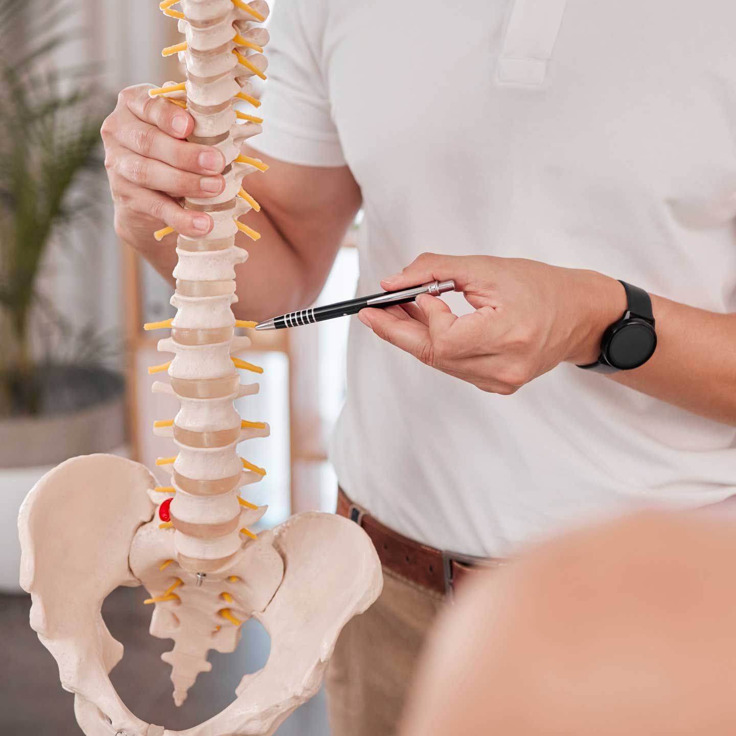 Person pointing at a spine model, likely explaining anatomy in an office setting. A professional points to a lumbar disc on a spinal model while explaining treatment to a patient.