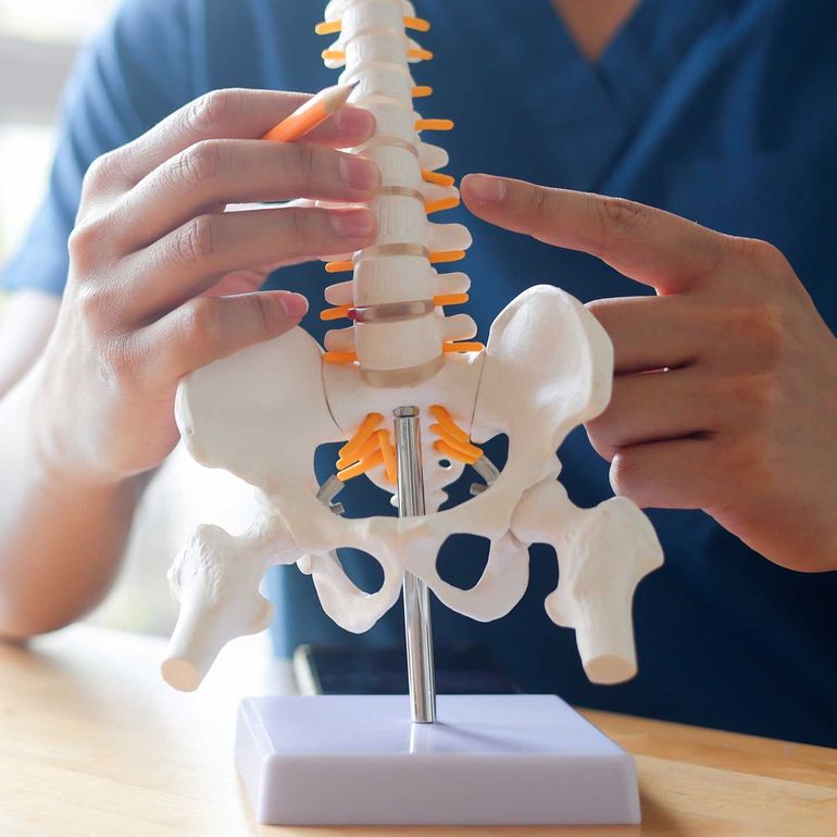 Person pointing to a spinal model, highlighting the lumbar region. A person in blue scrubs points to and holds a model of a human spine and pelvis on a wooden table.
