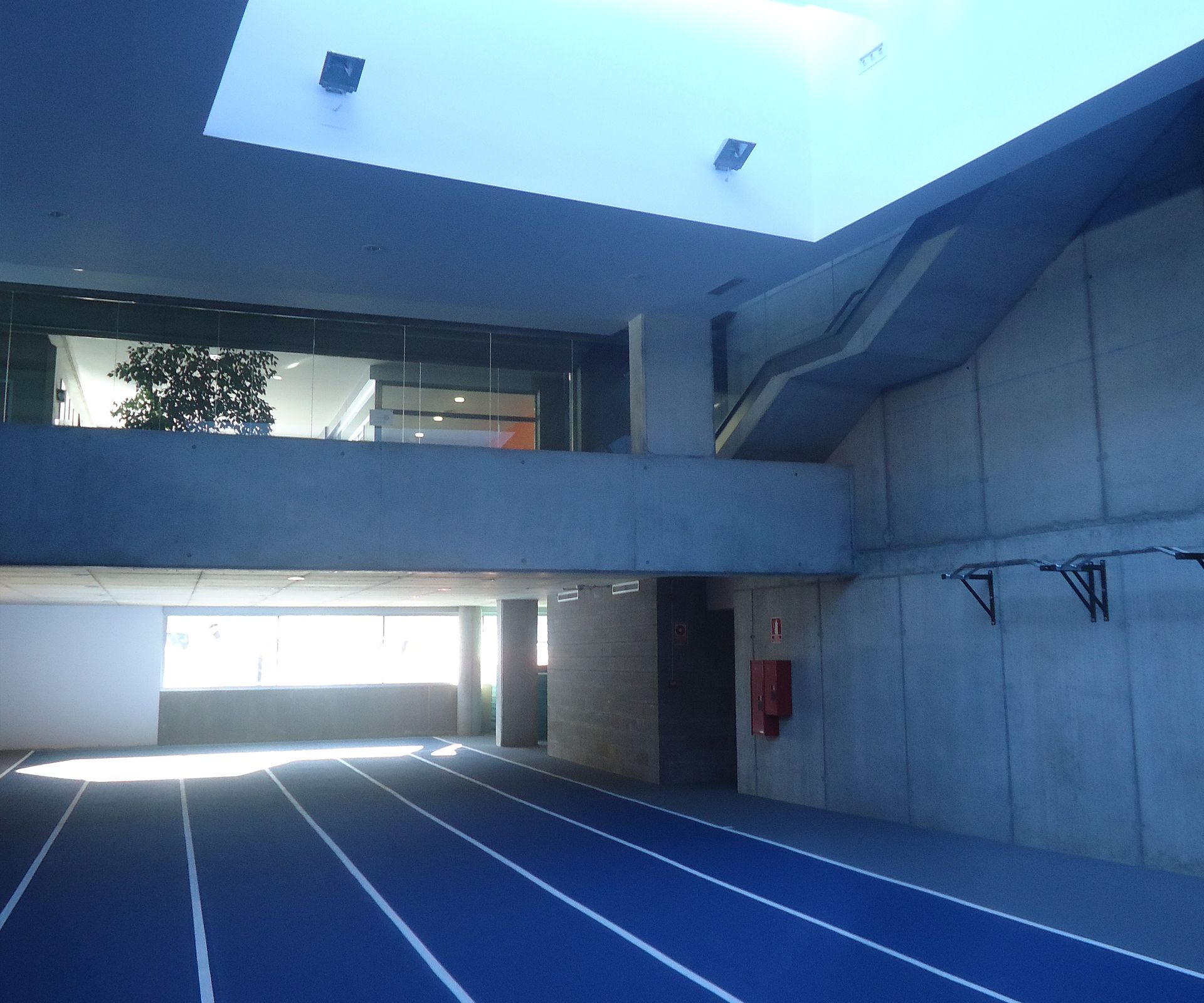 Pista o gimnàs interior buit amb carrils blaus, parets de formigó i claraboies.