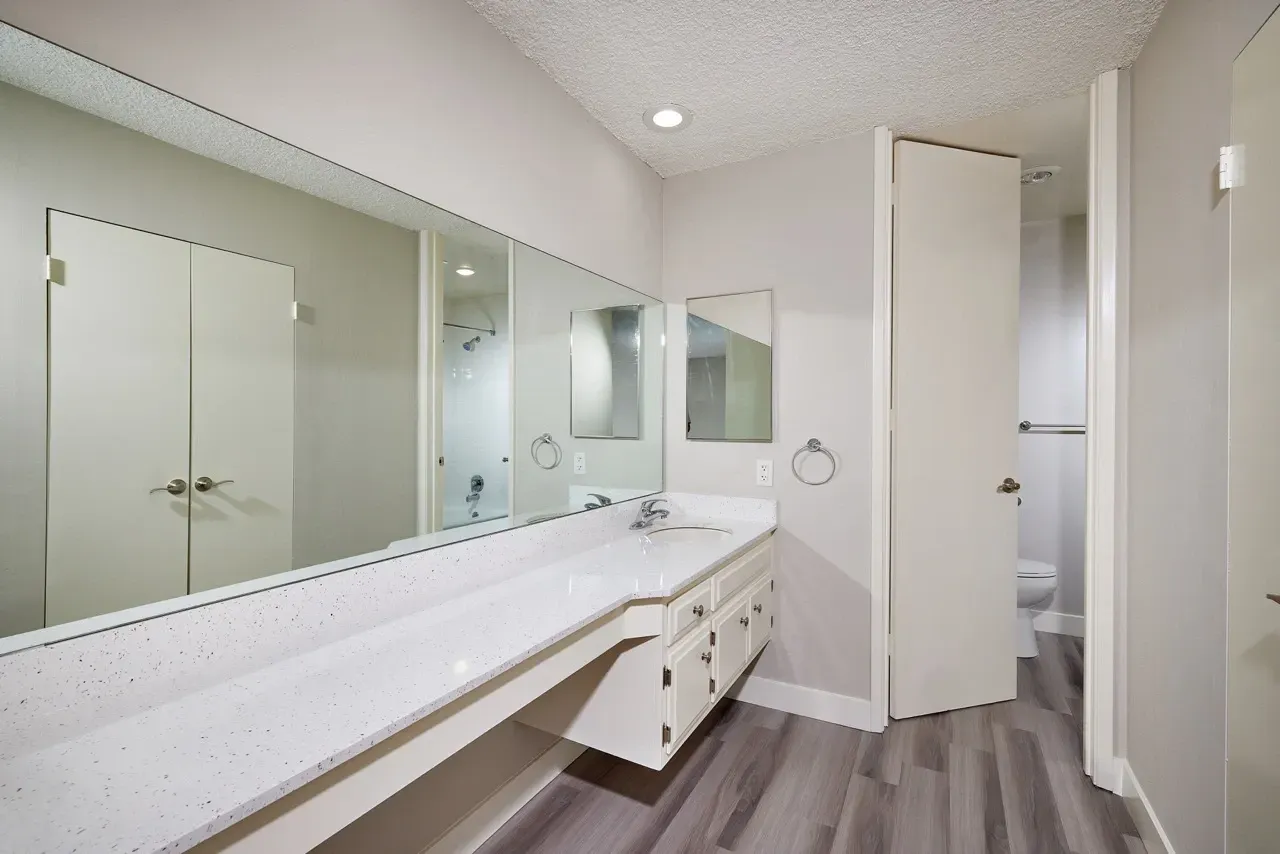 Bathroom with vanity, sink, mirror, and separate toilet and shower area.