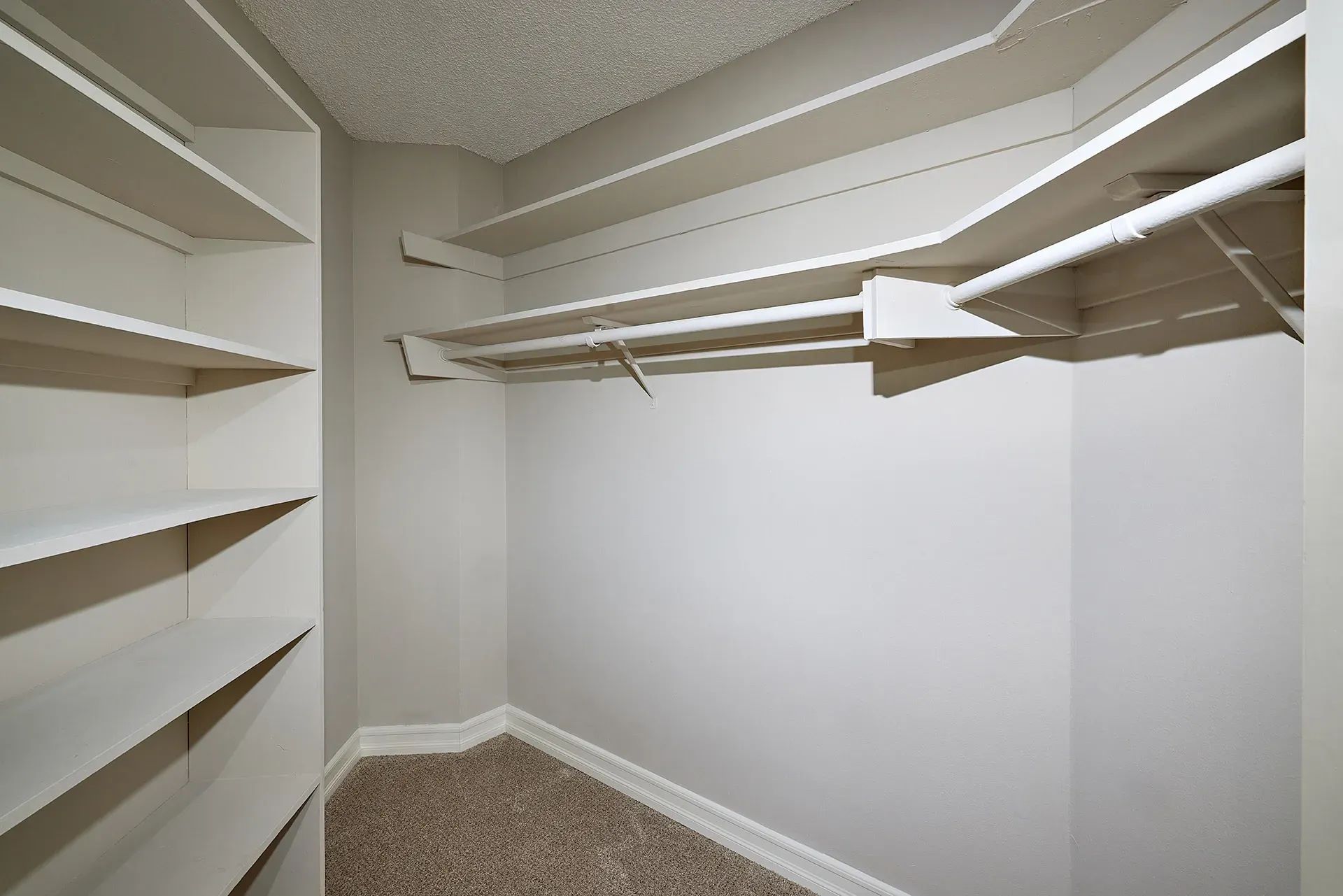 Walk-in closet with shelves and hanging rod.