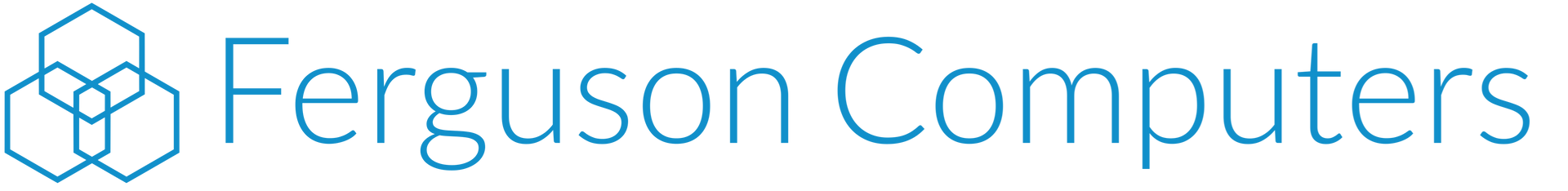 Ferguson Computers logo