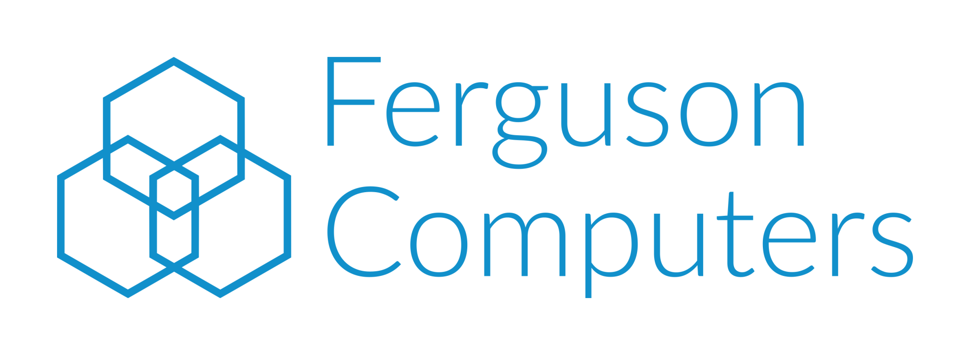 Ferguson computers transparent background logo