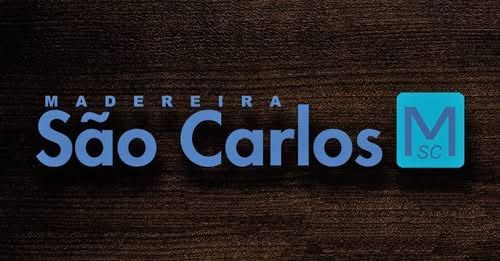 Logo da Zé Zico Desentupidora com encanador e mangueira em azul e laranja