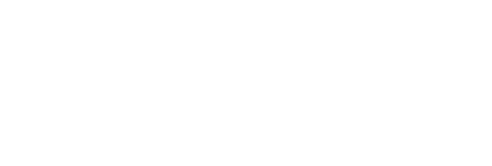 Logotipo com letras azuis e o texto “Irma Maria” em azul  e “Vidente Espírita”em preto.