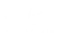 Junk Removal Service in Asheville, NC | CB Hauling Services