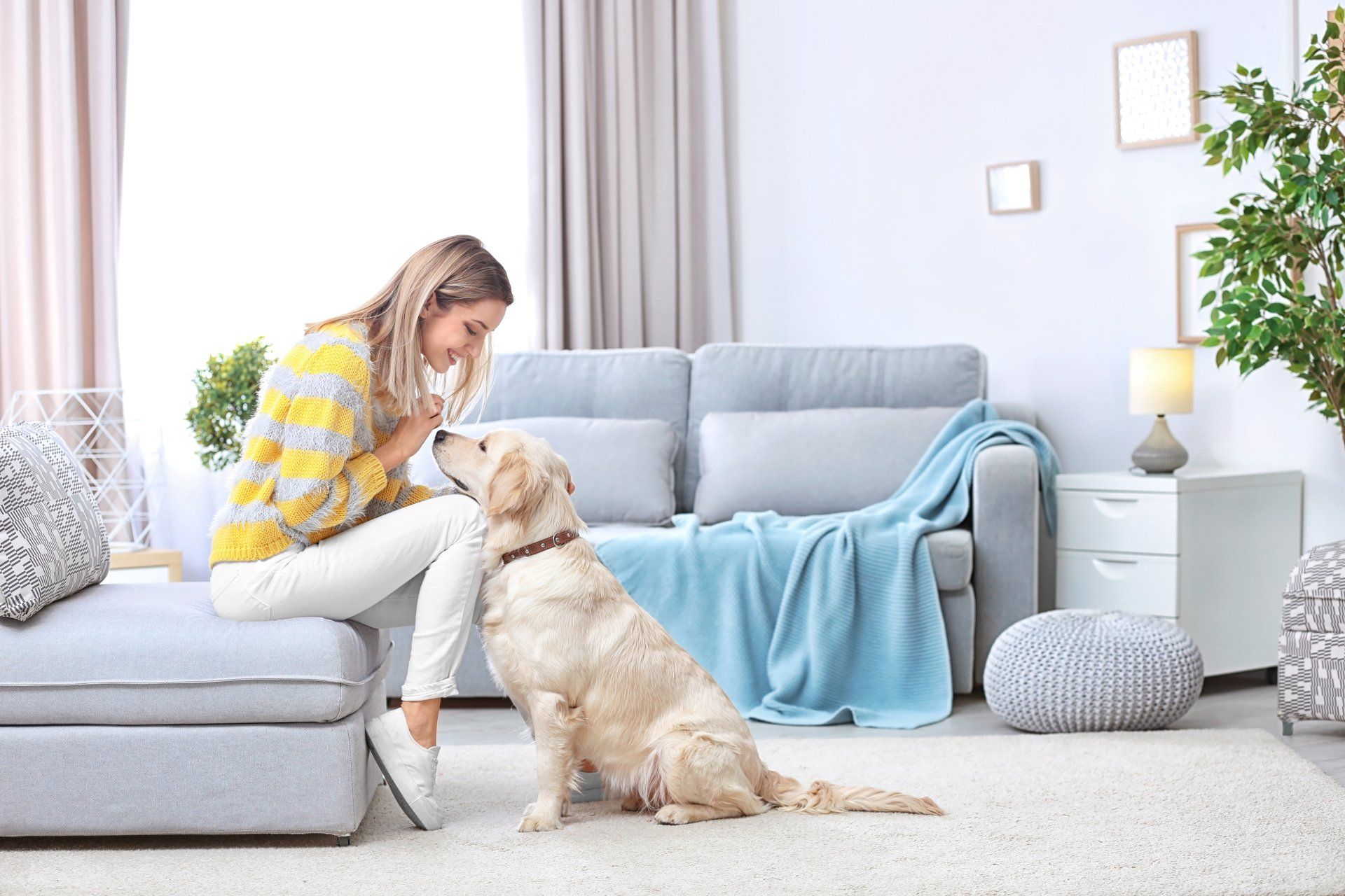 Woman with dog on carpet floor