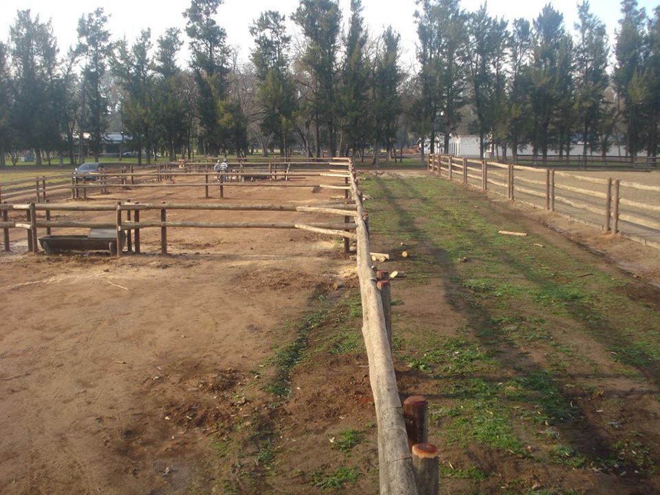 palos de madera