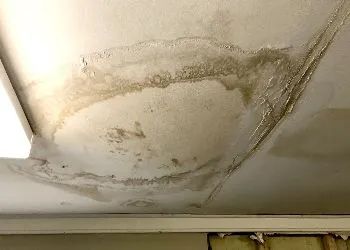 Water damage stain on a white ceiling, discolored with brown and gray patches.
