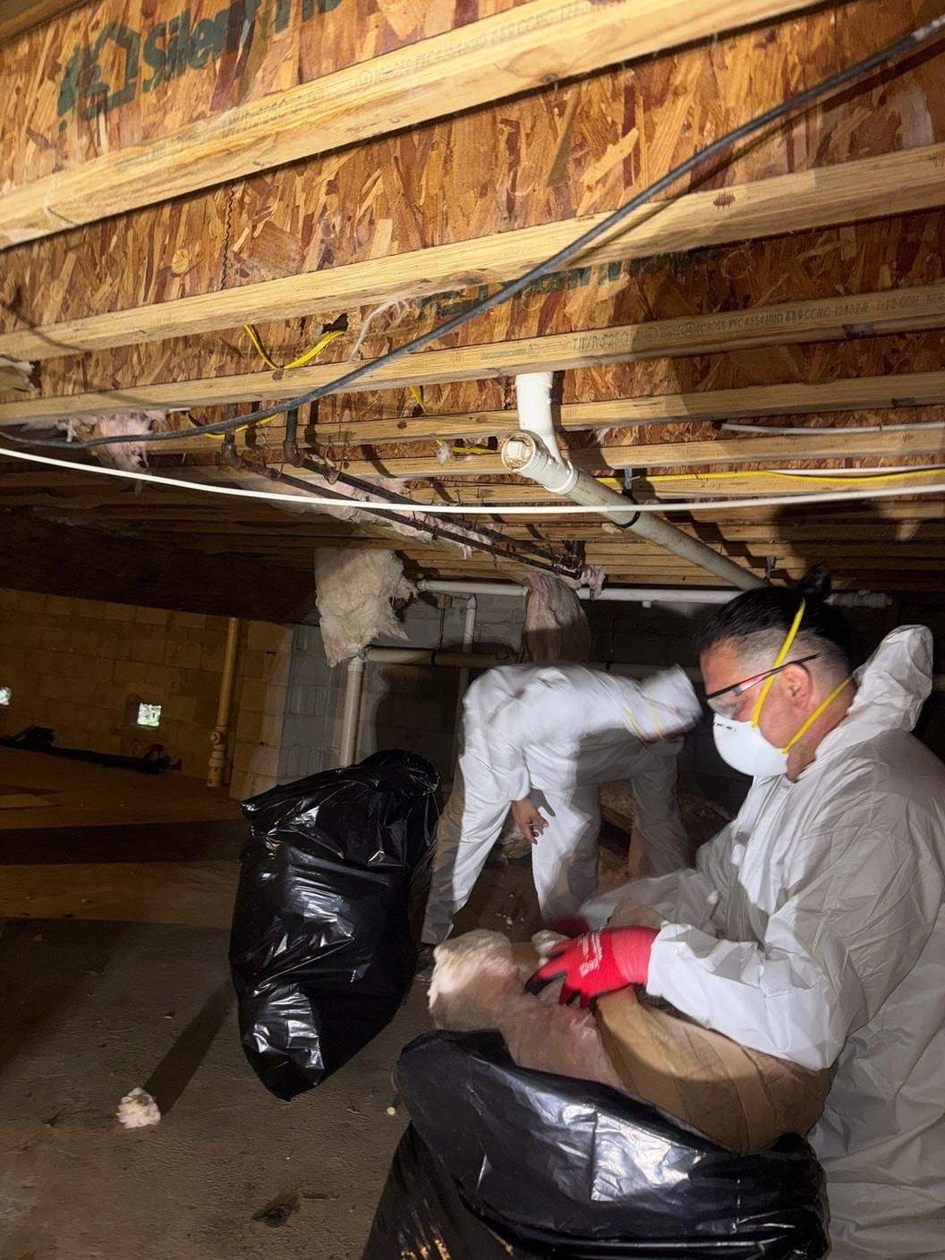 Technician in protective suit bagging moldy crawlspace insulation