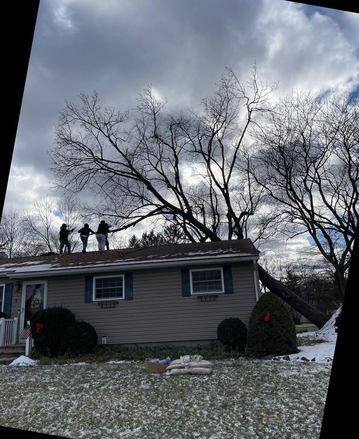 Crew on snowy NJ rooftop removing fallen tree from house