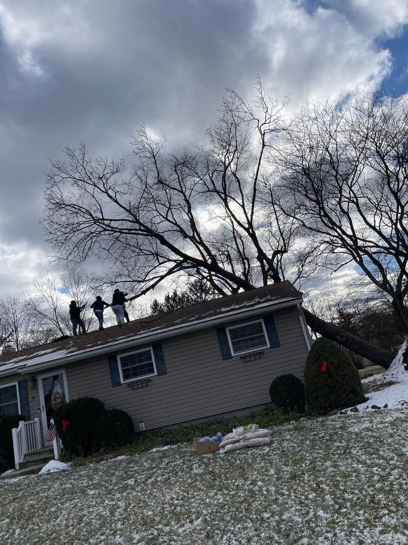 Crew on a roof cutting a fallen tree off the house