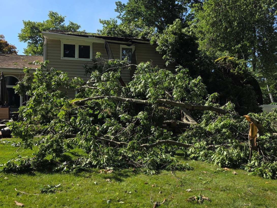 Large fallen tree resting on the roof of a two-story house