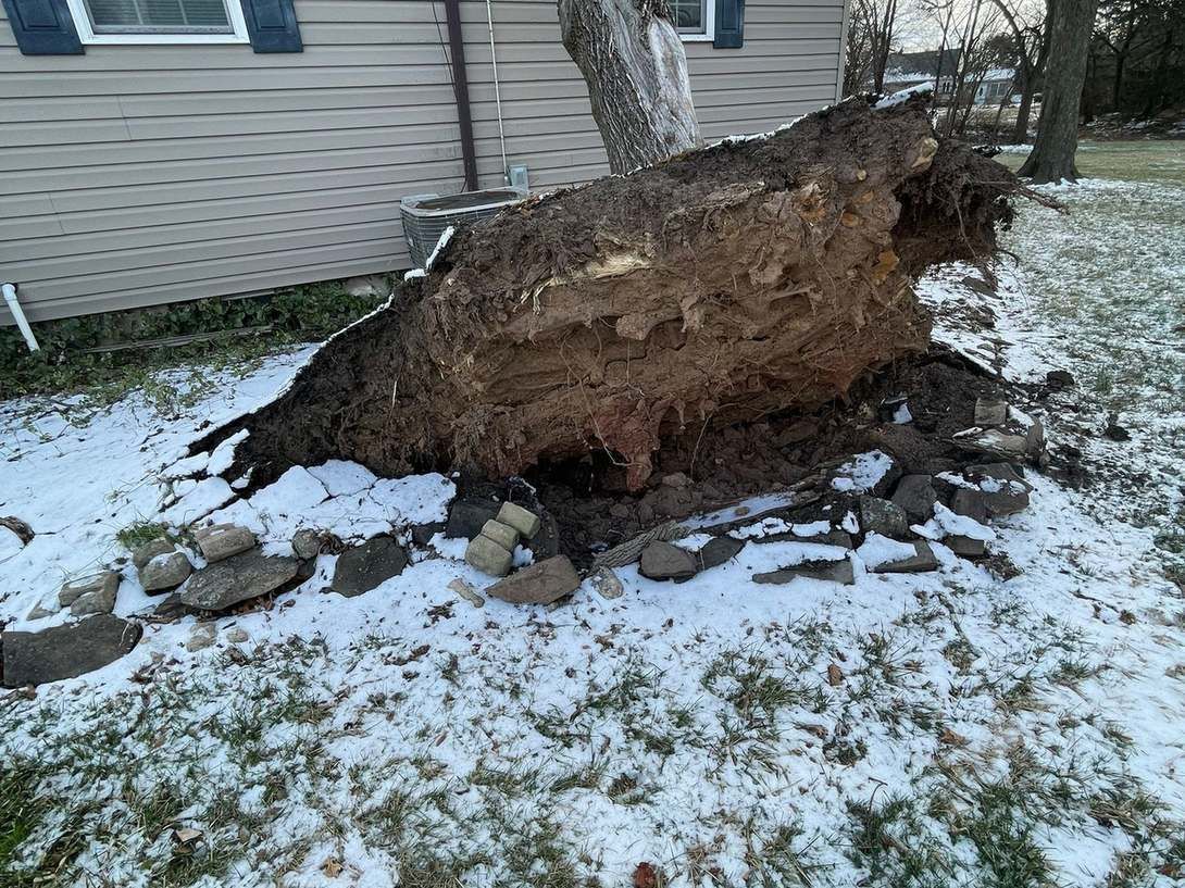 Uprooted tree leaning against a roof eave with crushed gutter