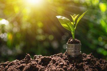 A small plant is growing out of a pile of coins in the dirt.