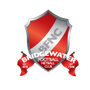 A logo for bridgewater football netball club