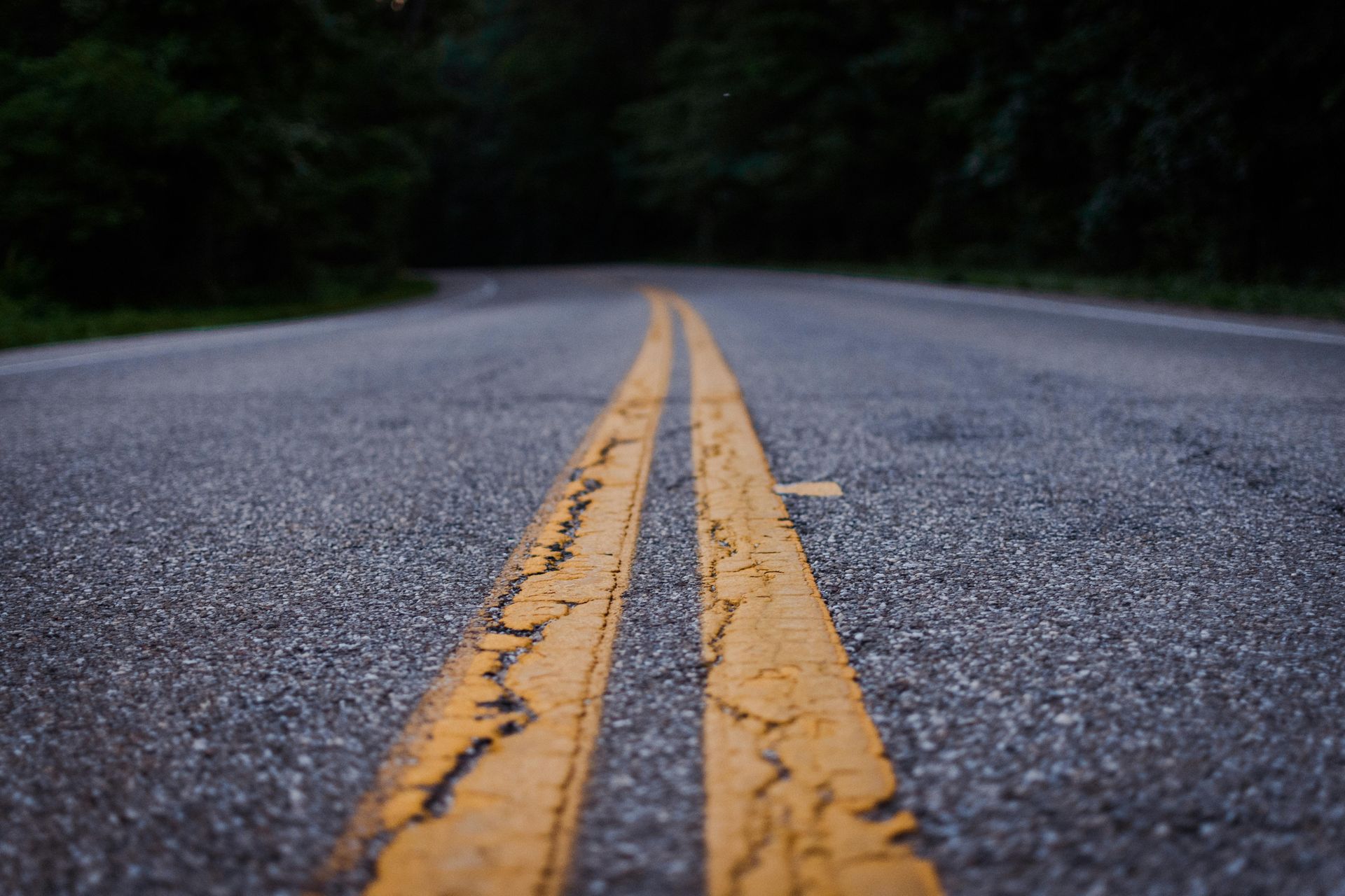 Close-up of a wet asphalt road with double yellow center lines fading into a dark forest.