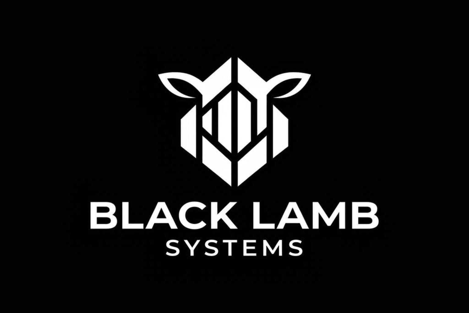 Black Lamb Systems logo in white on black background