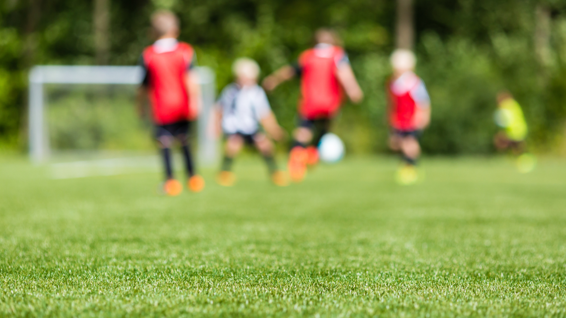 Soccer game in progress on a green field; players in red and black uniforms, goal in background.