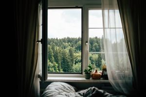Open window with sheer curtain overlooking green forest, with rumpled bed in foreground