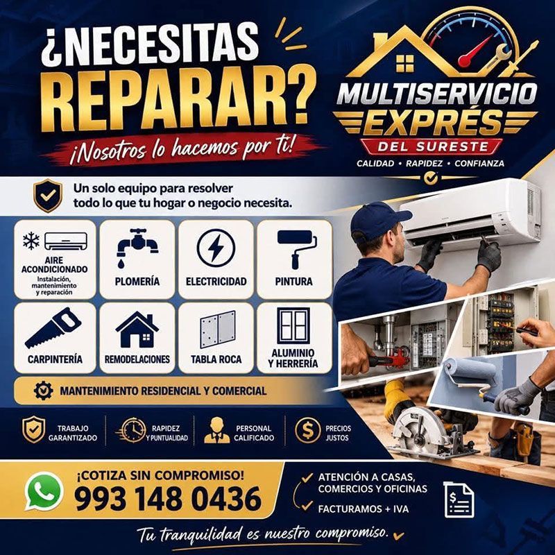 MULTISERVICIOS EXPRES DEL SURESTE
