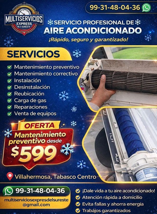 MULTISERVICIOS EXPRES DEL SURESTE