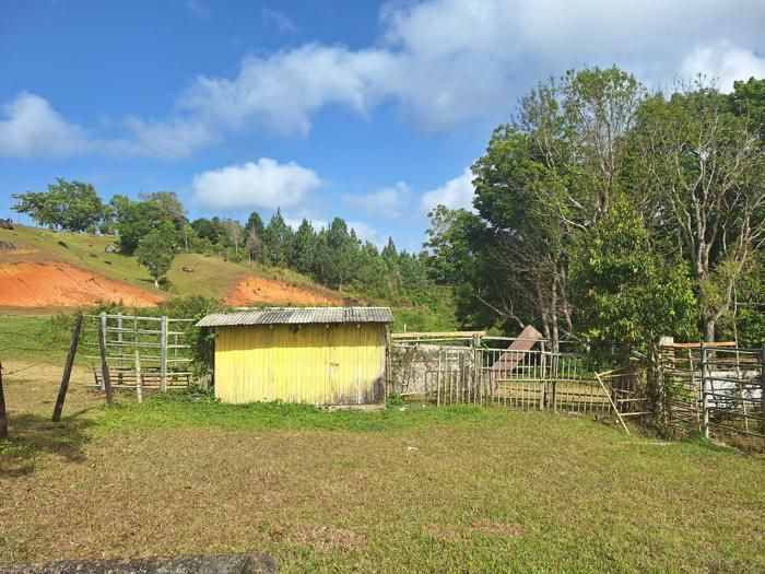 Cattle corral and handling pen