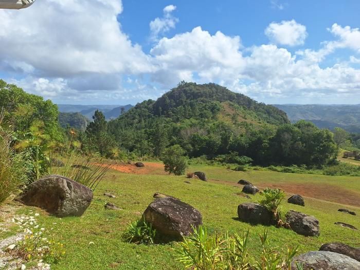 Morning view across the estate pasture toward the valley