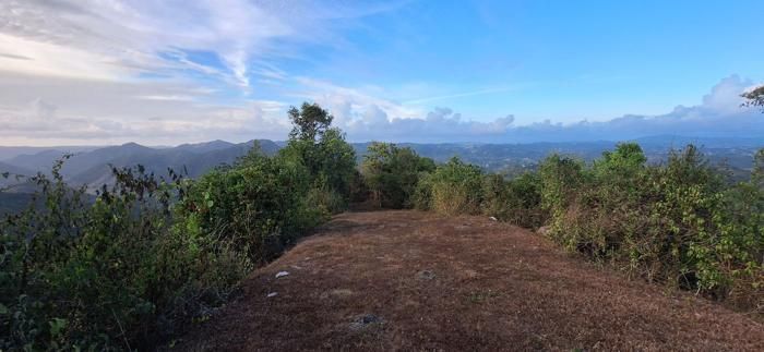 Hilltop clearing, a potential building site