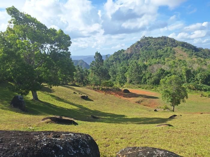 Mountain and pasture panorama across the estate