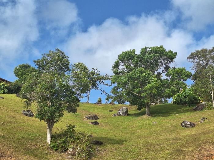 Pasture, boulders and big sky