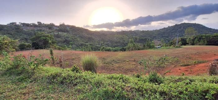 Evening on the lower pasture