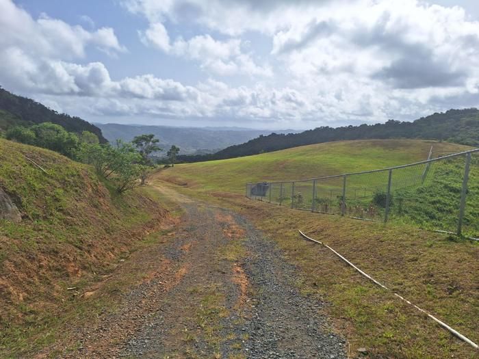 Gravel road leading into the upper pasture