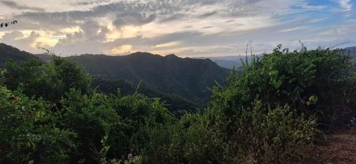 Sunset over the Cordillera Central from the estate