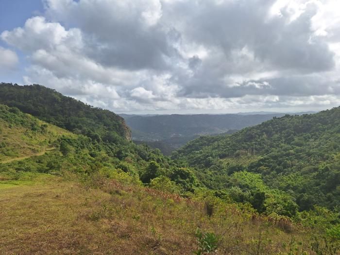 Green valley folds below the property