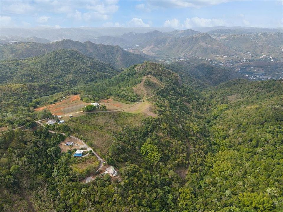 Aerial view of the ridges and valleys around the estate