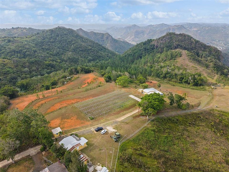Aerial view of the estate buildings, terraces and fields