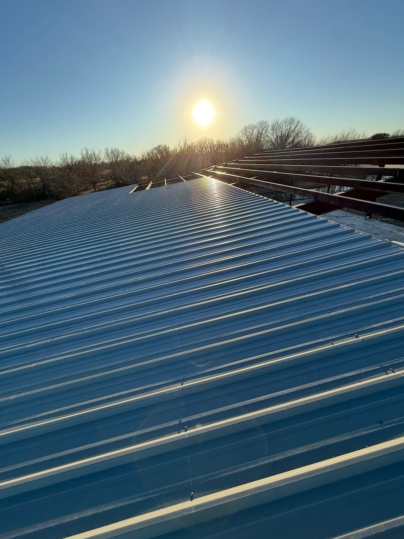 Sunlit corrugated metal roof with snow or frost, trees in the distance under a clear blue sky