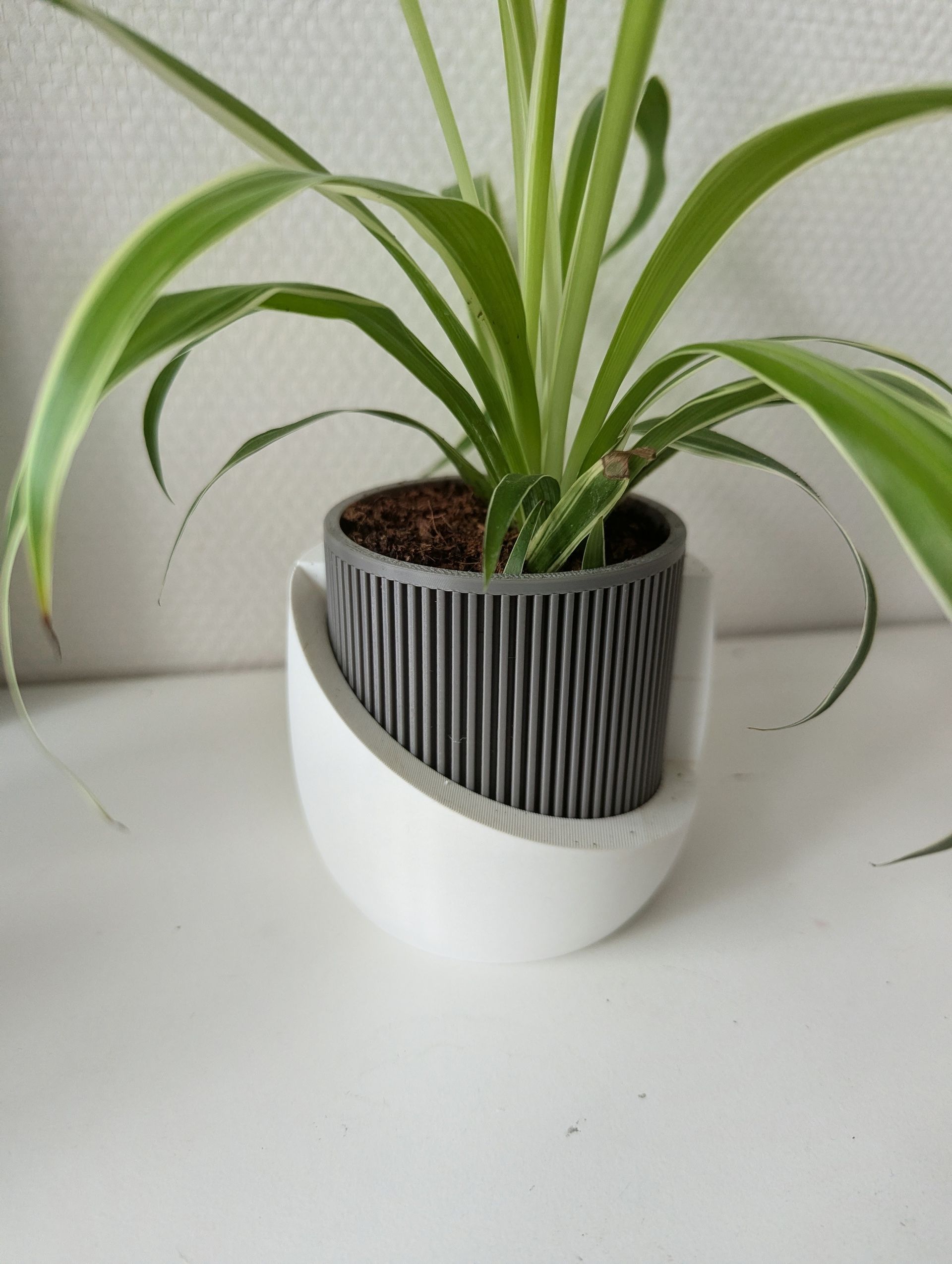 Zwarte geribbelde cilindrische container in een witte gebogen houder op een lichte achtergrond.